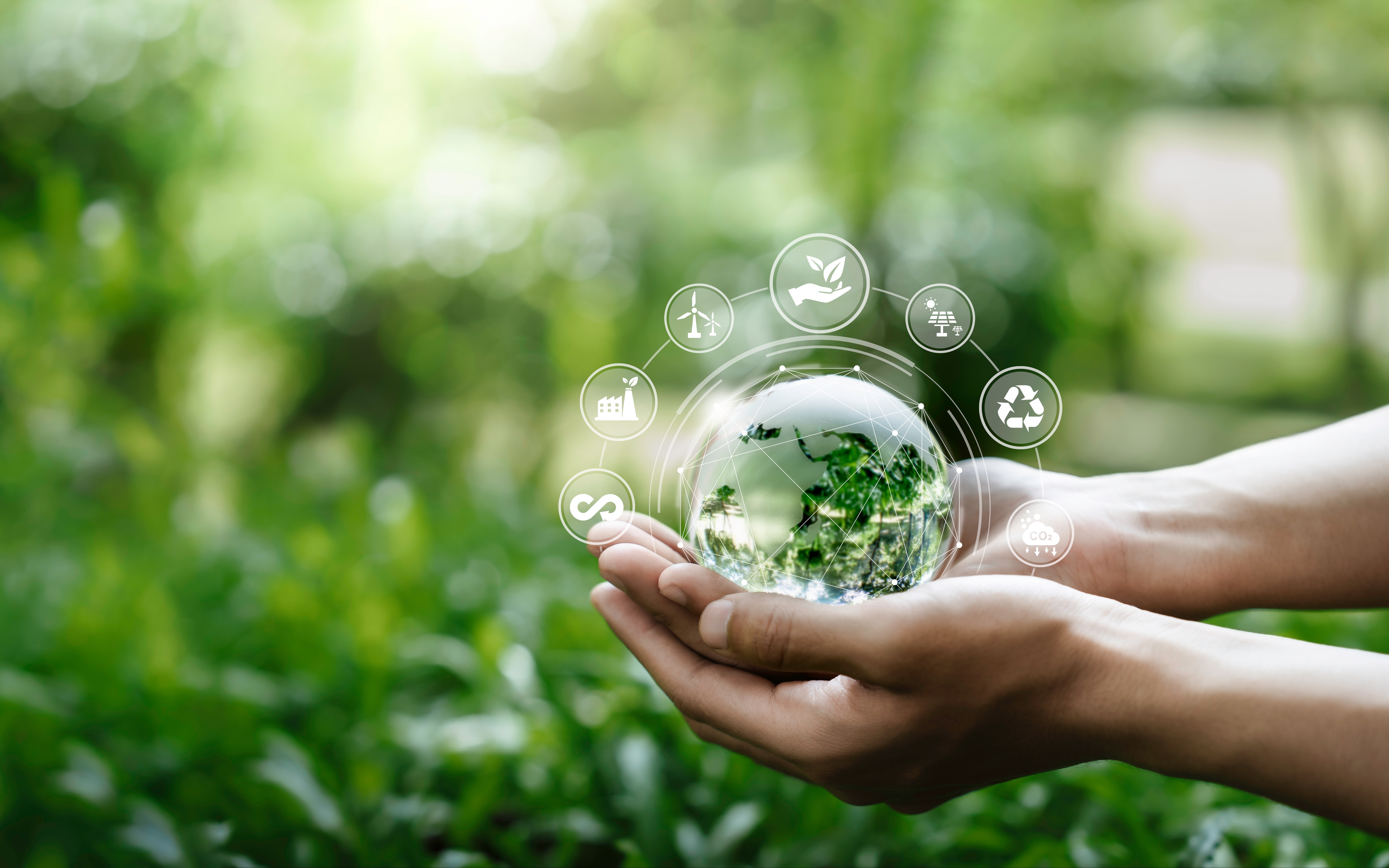 Our Journey To Net Zero image